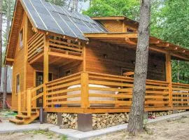 Nice Home In Ostroda With Jacuzzi