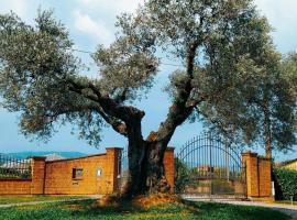 Casolare L'Antico Olivo, hotell i Chiesina Uzzanese