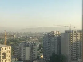 Fantastic cozy 2 bedroom apartment in Dushanbe downtown