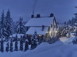 L - Hutir, hotel in Mykulychyn