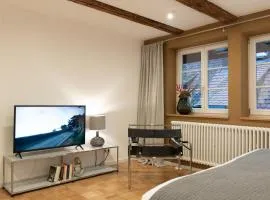 der Gänsbühl auf der Stadtmauer