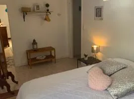 La maison bleue