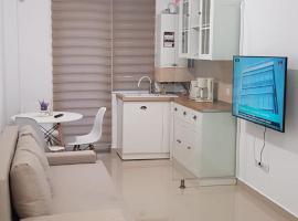 Apartament Vila Brana Sibiu Selimbar str Nicolae Brana Nr 63 Ap 4, hotel with hot tubs in Şelimbăr
