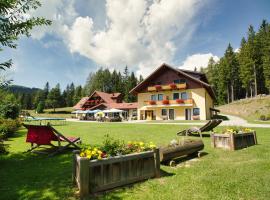 Alpengasthaus Gießlhütte, Hotel mit Parkplatz in Wolfsberg