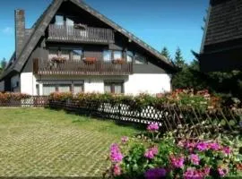 Ferienhaus-Schönwald im Herzen des Schwarzwaldes 1ZimmerWohnung+Balkon App7