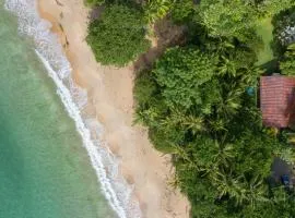 Our Beachfront Bungalow