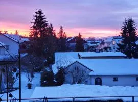 Wohnung im Schwarzwald mit Panorama Blick