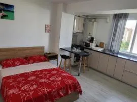 Self check-in Studio 22 Bulevardul Oltenia