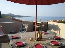 Appartement neuf climatisé, terrasse, WIFI, Banyuls-sur-Mer - FR-1-309-208