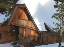 Turrach Chalet Haus Dachs, skidresort i Ebene Reichenau