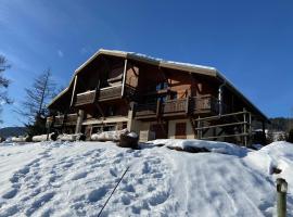 Appartement face Mont Blanc, hotel in Demi-Quartier