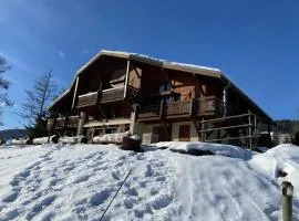 Appartement face Mont Blanc