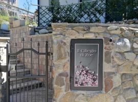 IL CILIEGIO DI ZOE, hotel perto de Convento de Santa Caterina del Sasso, Cerro Lago Maggiore