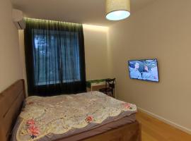 Lux apartment, near metro Vasylkivska, hotel near Holosiivska Metro Station, Kyiv