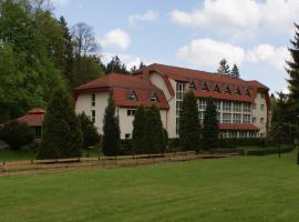 Hotel i Restauracja Złoty Las, hotel v destinácii Złoty Las