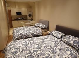London Luxury 2 bed studio 4 mins from Ilford Stn - FREE parking, WiFi, garden access, готель у місті Ілфорд