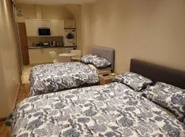 London Luxury 2 bed studio 4 mins from Ilford Stn - FREE parking, WiFi, garden access