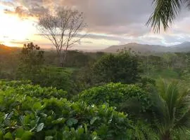 Beautiful estate in quiet surroundings close to beach