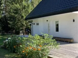Piękny i ciepły domek w stylu skandynawskim z sauną