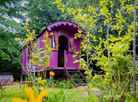 Gypsy Wagons and Vans, Clarens, loma-asunto kohteessa Clarens