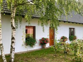 Winnica De Sas, farm stay in Krośnice
