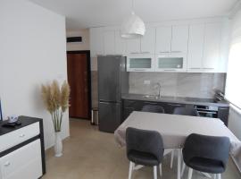 Apartman Zvezda vodilja, apartment in Veternik