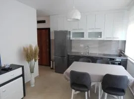 Apartman Zvezda vodilja