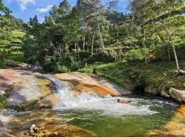 Pura vida alojamiento