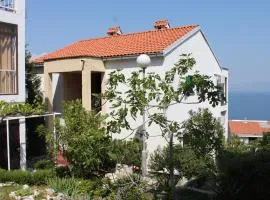 Apartments with parking space Ravni, Labin - 7661