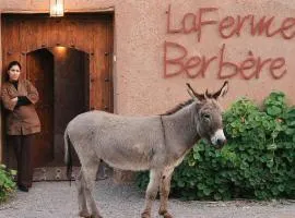 La Ferme Berbere Adult only
