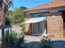 Fontanelle