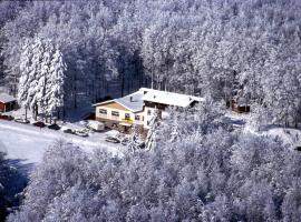 Albergo Le Macinaie - Monte Amiata，卡斯泰爾德爾皮亞諾的飯店