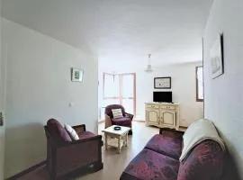 Charmant T2 lumineux et spacieux à Aix-les-Bains, proche Thermes et centre-ville - FR-1-555-49