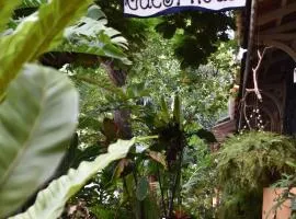 Afonso Guest House - Fontainhas