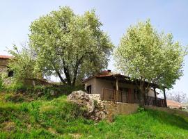 Μικρή Ζήρεια Ενοικιαζόμενη Κατοικία, guest house in Synikia Mesi Trikalon