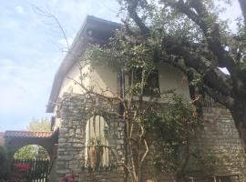 Villa Verde, Hotel in Camaiore