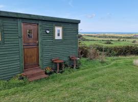 Stunning 1-Bed shepherd hut in Holyhead, hótel í Holyhead