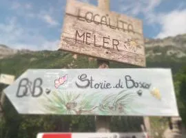 Storie di bosco