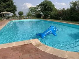 Pet-Friendly Nature Escape