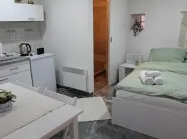 Studio apartman Centar