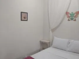 solar das margaridas