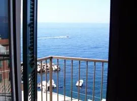 CasaRiomaggiore "a few steps from the sea"