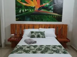 Hospedajes El Jardin