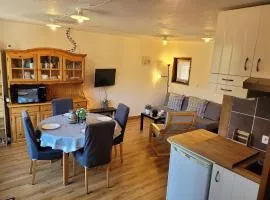 Duplex 3 pièces aux Gets, proche pistes avec parking et wifi - FR-1-598-23