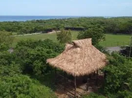 Palapa
