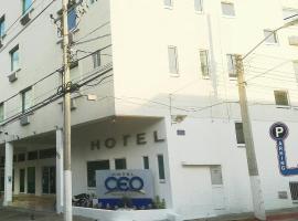 CEO酒店，莫雷利亞的有熱水按摩池的飯店