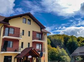 Pensiunea 7 Brazi II, hotel en Poiana Mărului