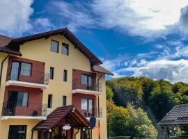 Pensiunea 7 Brazi II