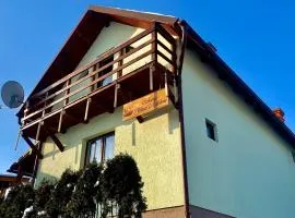 Cabana Plaiuri Ardelene