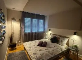 Delux apartment Moj Osijek, SELF CHECK-IN